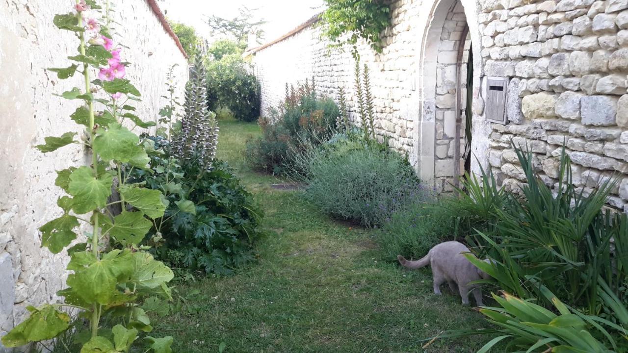 مبيت وإفطار سان مارتن دو ر Les Jardins De Clerjotte المظهر الخارجي الصورة
